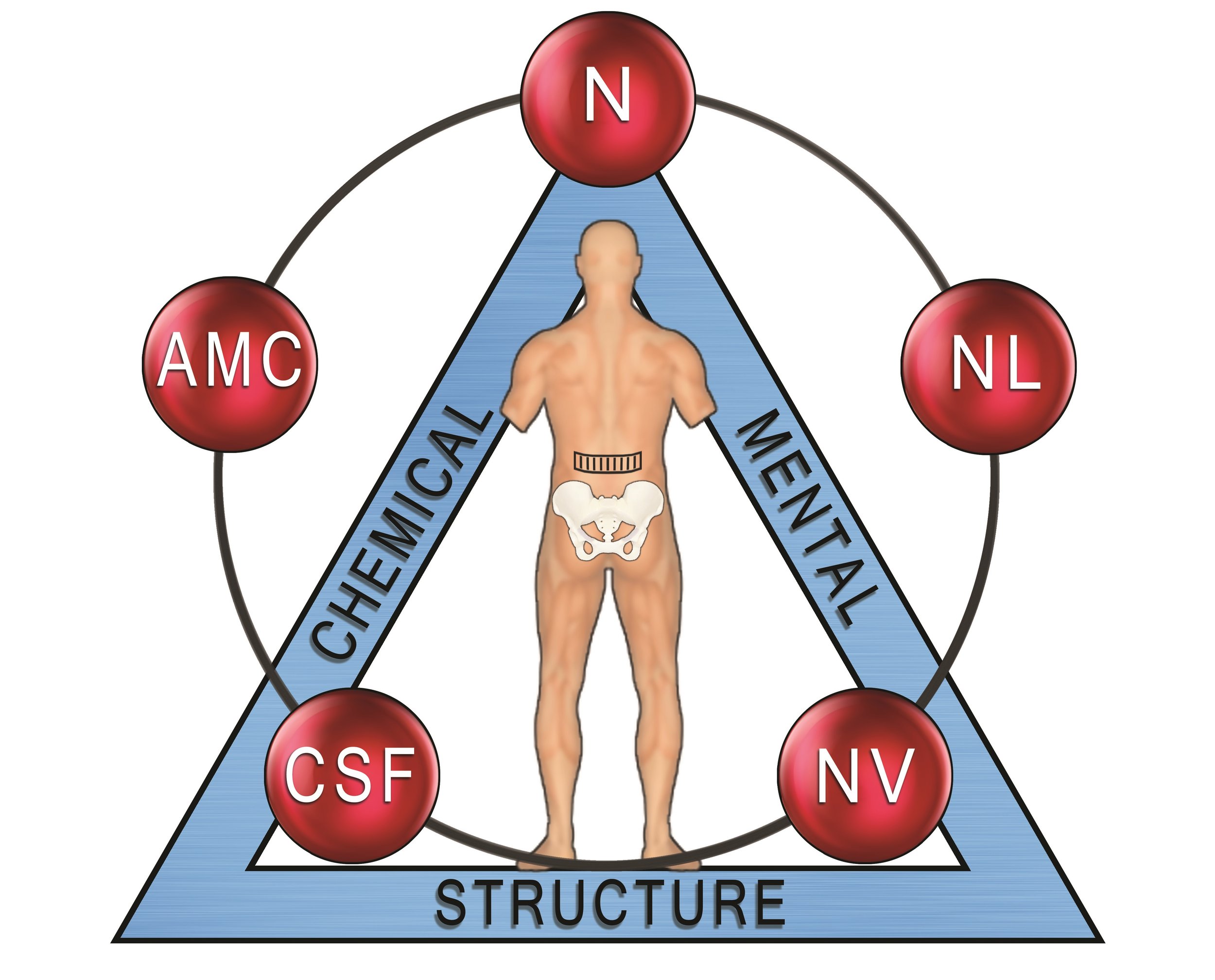 Applied Kinesiology — Be Optimal Holistic Health Center